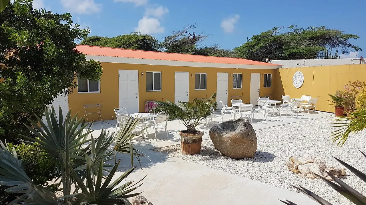 Arawa Houses Paradera