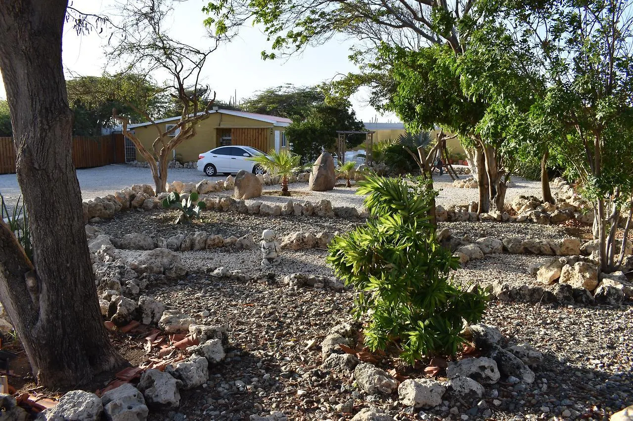 Arawa Houses