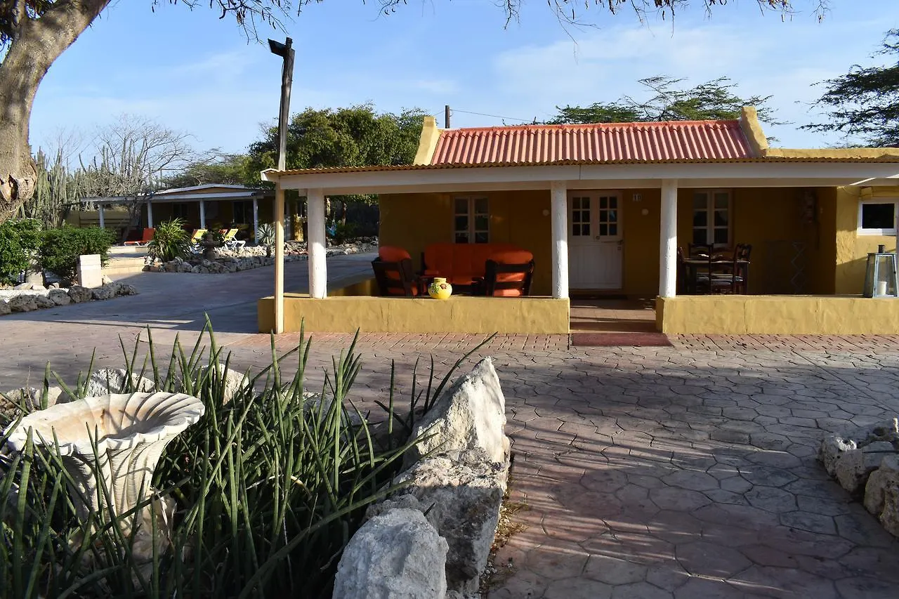 Arawa Houses Aruba