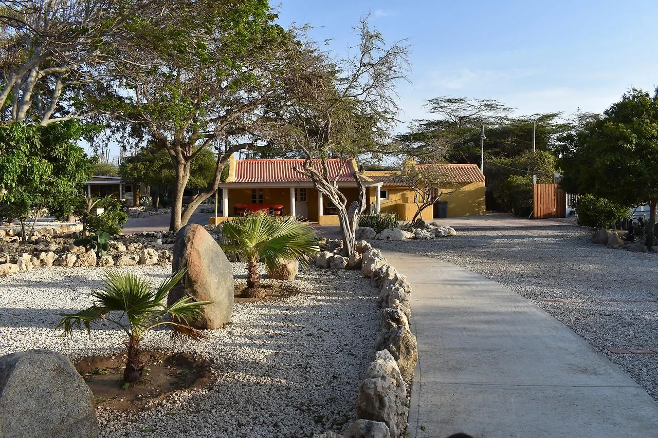 Arawa Houses