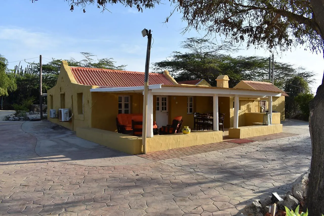 Arawa Houses Aruba