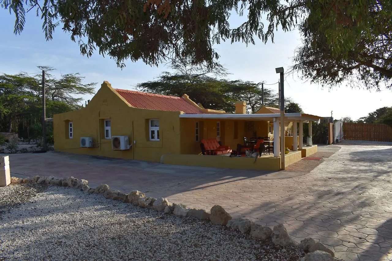 Arawa Houses Aruba