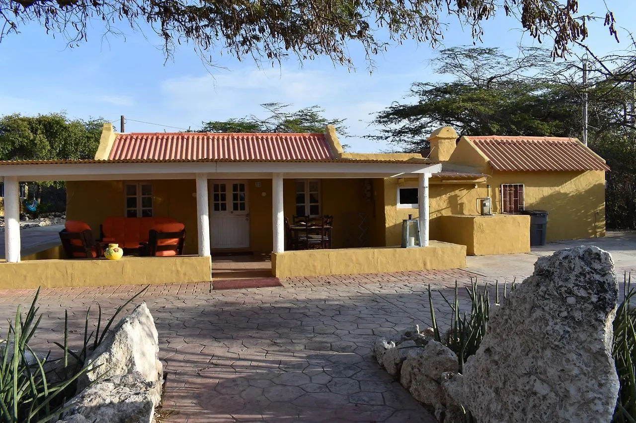 Arawa Houses Paradera