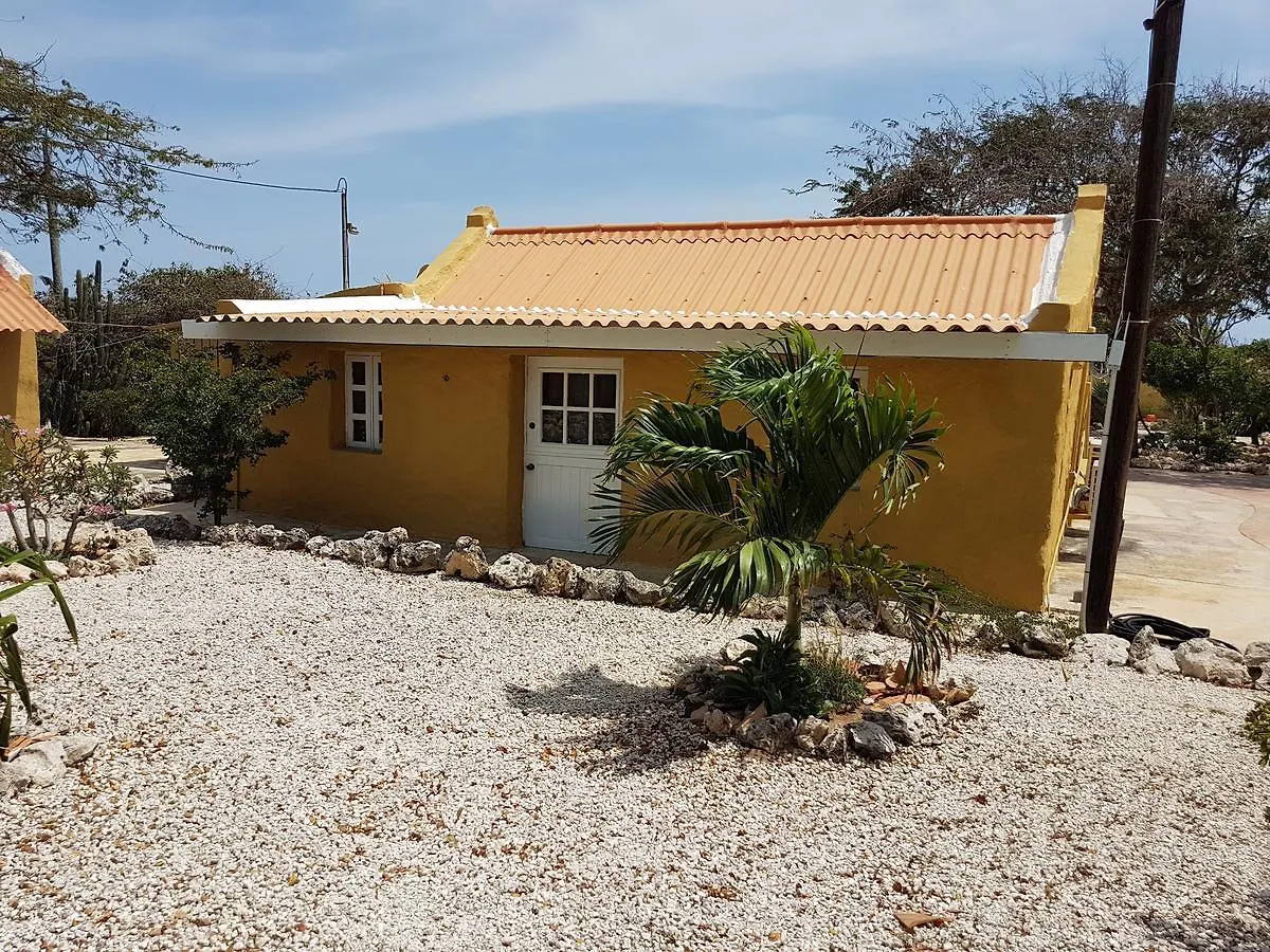 Arawa Houses 0*, Paradera